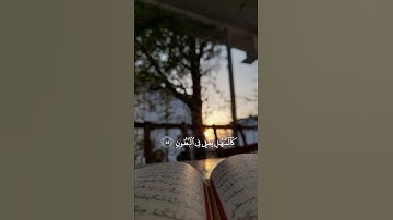 سورة الدخان {الآية 43} بصوت الشيخ مشاري العفاسي بن راشد ❤️💖