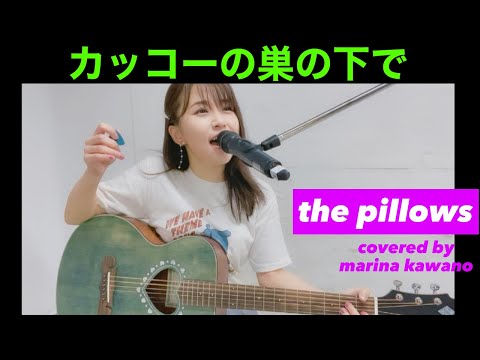 【弾き語り】the pillows カッコーの巣の下で (covered by河野万里奈)