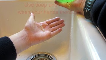 How to get  tree sap or tar off your skin!