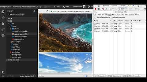 Angular - Lazy load images in Angular project
