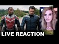 The Falcon &amp; The Winter Soldier &quot;First Look&quot; Trailer REACTION