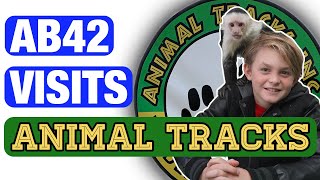 Monkey Overload at Animal Tracks Inc | The Adventure Buddies| Exotic Animal Encounters