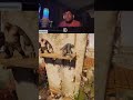 Split Fiction | twitch-nesthegoat2 #shorts #viralshorts #trendingshorts #trending #twitchclips