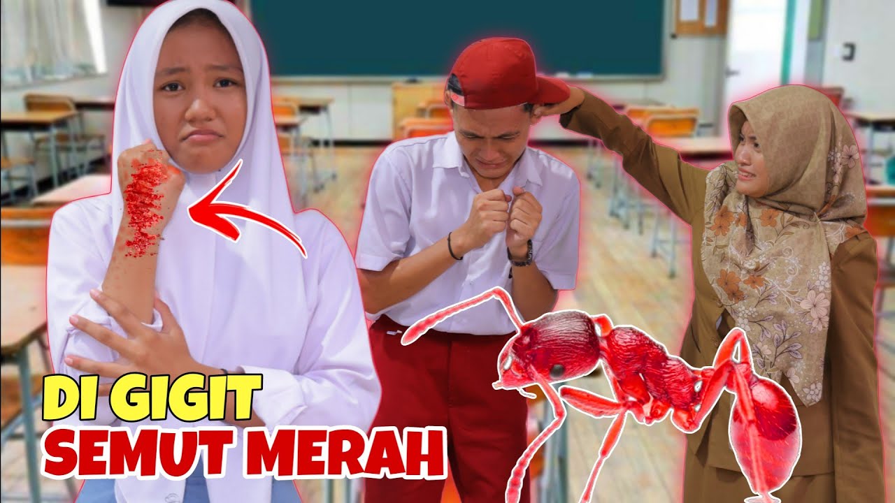 NGERI AYA DIG1G1T SEMUT MERAH BANYAK BANGET | CHIKAKU FAMILY