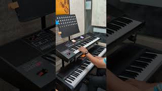 多少柔情多少淚+我的心裡只有你沒有他