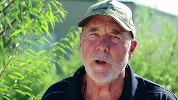 2015Rivulis vid1 ENG