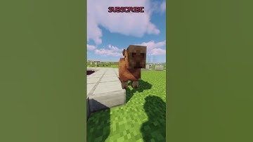 CAPYBARA CAPYBARA! 🥰😍🤩 #shorts