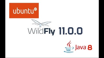 WildFly 11 Installation in Ubuntu 16.04 LTS with Oracle JDK 8 (Java 8)
