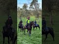 The view from Joe Tizzard’s gallops is breathtaking 🙌🏼 #horse #racehorse
