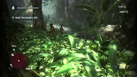 Assassins Creed IV: Black Flag - Walkthrough Part 9 - Sequence 3 Memory 7