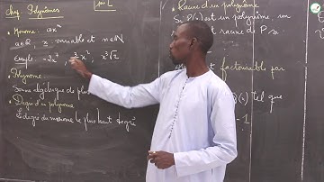 Cours - Première L - Mathématiques : Polynômes / M. Boye
