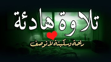 تلاوة هادئة من القرآن الكريم قبل النوم 😌 راحة نفسية عميقة تهدّئ القلب وتُريح الأعصاب 🎧