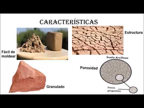 Suelos limosos y arcillosos