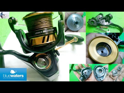 daiwa spinning reel maintenance | daiwa legalis | daiwa | daiwa legalis 2019  lt4000-cxh