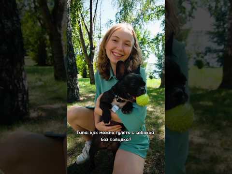 Собака без поводка на прогулке. Как приучить? #собаки