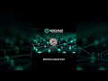 Mochimo: The Network with No Boss
