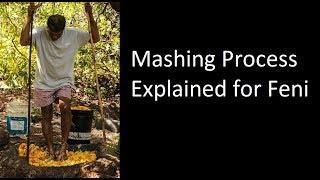 How Mashing is done in Feni - Feni Mashing Process Explained - In English - Episode 3 CocktailJockey