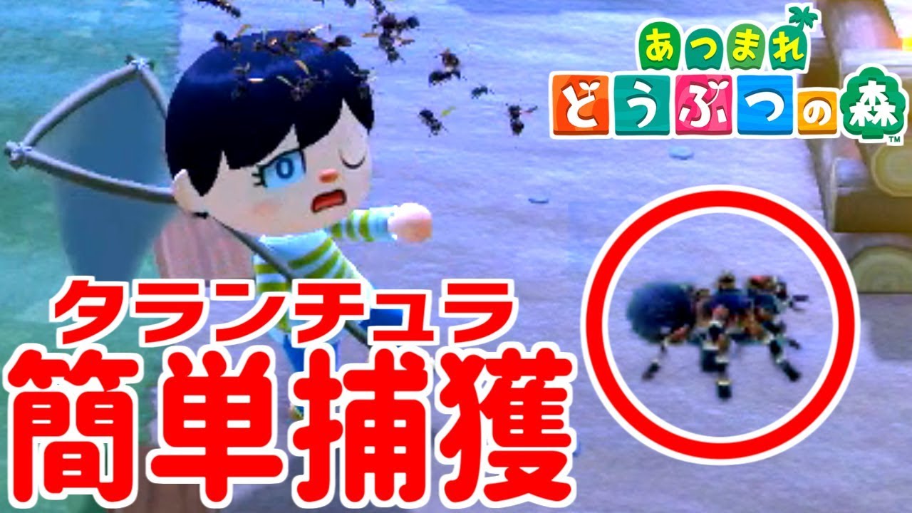 ゆっくり歩く方法 あつ森 【あつ森】取り返しのつかない要素まとめ【あつまれどうぶつの森】｜ゲームエイト