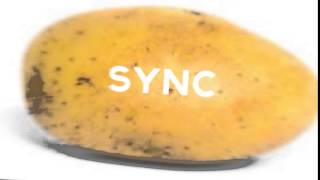 SYNC TEST - good??