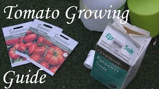 برنامج متكامل عن زراعة الطماطم و العناية بها