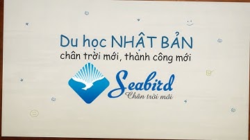 Quảng cáo du học (electric dance)