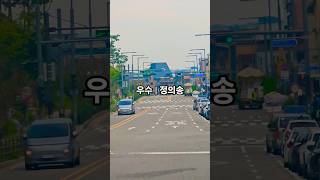 우수 #정의송 #가요 #노래 #트로트