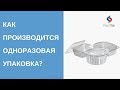 Одноразовая упаковка и посуда - производство РоссПак