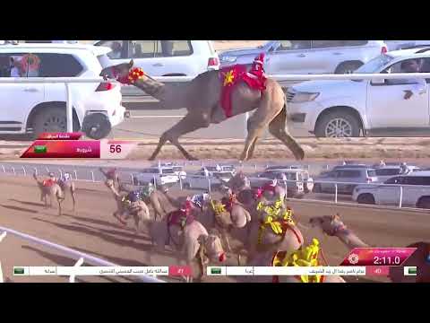 ش7 شبا ل سالم محمد سالم الحنزاب مهرجان ولي عهد السعودية 3 8 2023ص مفاريد بكار عام 3 04 09