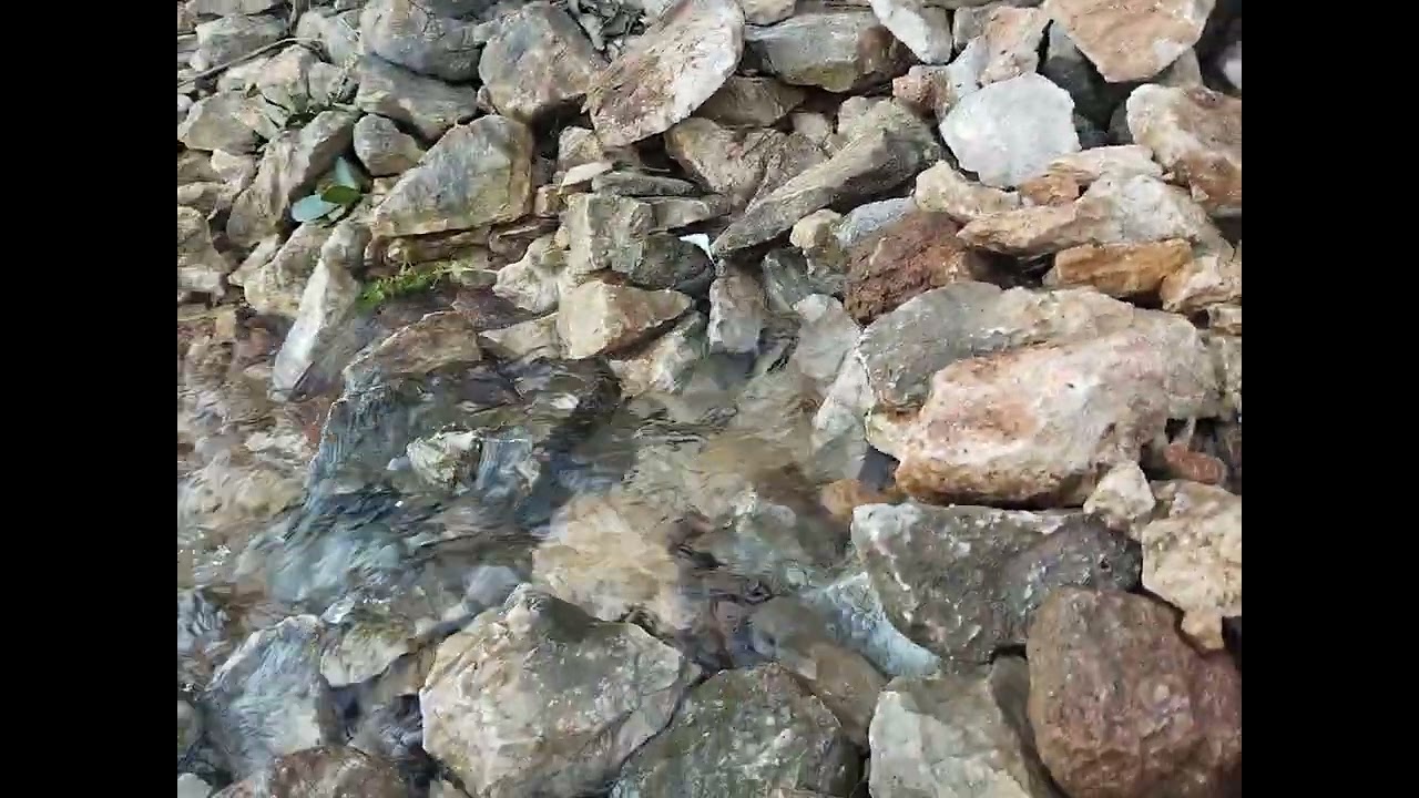 الحمد لله على هذه النعمة #shorts