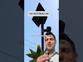 Flock Safety says it's addressing community concerns
