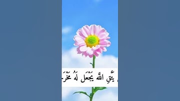 #تلاوة_هادئة #تلاوة_خاشعة #اسلام_صبحي #إسلام_صبحي #قرآن_كريم