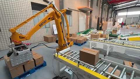 Customized Programmable Robot Arm Palletizer System Industrial Palletizing System for Carton Box