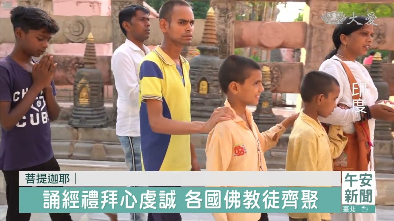 誦經看見菩提葉落 感受佛陀證悟之美 20230629