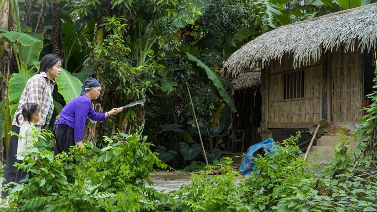 Что сделала странная старушка после встречи с бродячей матерью-одиночкой?
