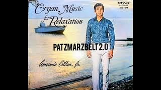Amormio Cillan, Jr. (Organist) - Greenfields
