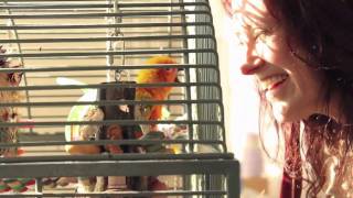 The Wing Foundation Parrot Rescue of San Francisco
