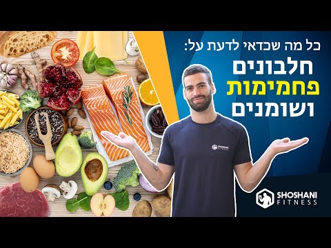 (חלבונים, פחמימות ושומנים) תזונה נכונה - כל מה שאתם צריכים לדעת על 3 אבות המזון