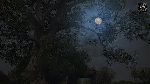 Chuyện tâm linh có thật - Câu chuyện rùng mình về người đàn bà bị "m"a" nhập