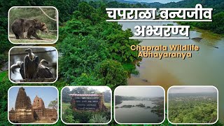 Chaprala Wildlife Sanctuary | चपराळा वन्यजीव अभयारण्य