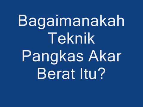 Tutorial Membuahkan Tabulampot dengan Teknik Pangkas Akar Berat