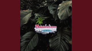 Celestial Rainforest Harmony