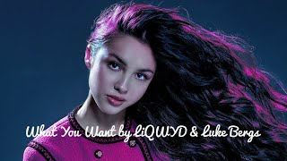 What You Want - LiQWYD &amp; Luke Bergs (No Copyright Music)