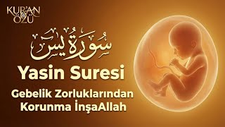 Yasin Suresi'nin tamamı | Kalbinizi karanlıktan kurtaracak bir ses | Ammar Al-Mansouri