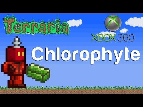 iballisticsquid terraria 2 iballisticsquid terraria 2