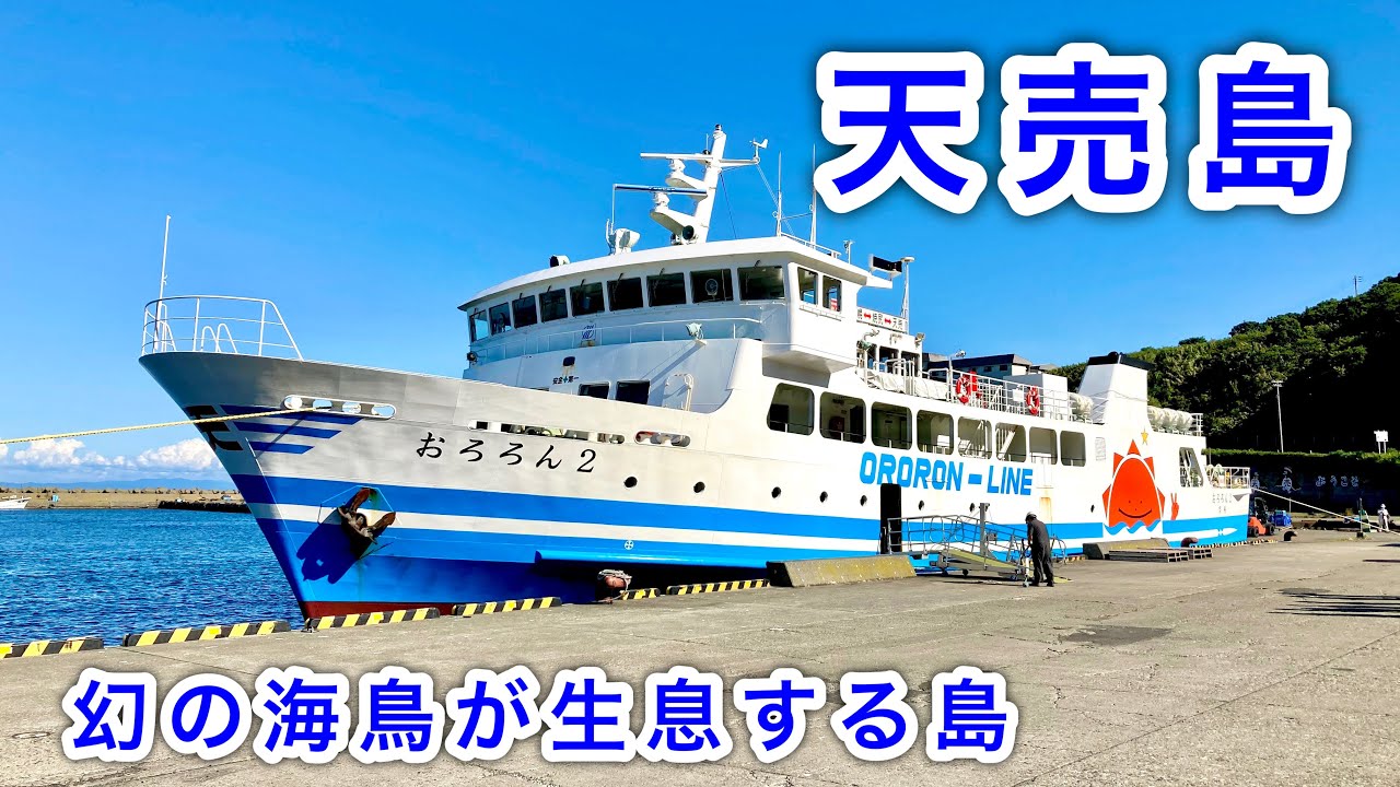 【離島フェリー】天売島は100万羽が生息する海鳥の楽園（北海道羽幌町）　Teuri Island where 300 people live alongside 1 million sea birds