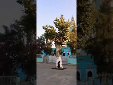 مسجد مدينة بوفاريك من أي مدينة تشاهدنا