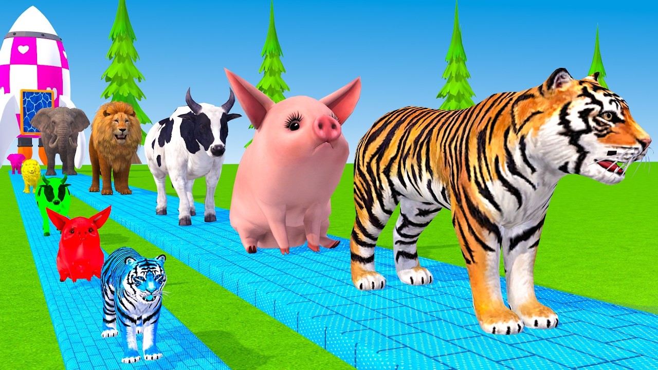 Long Slide Game With Cow Elephant Gorilla Hippopotamus Tiger 3d Animal Game Funny 3d Animals
