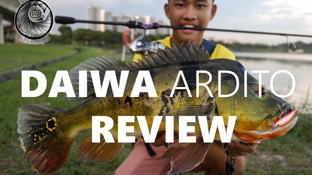Daiwa Ardito Review  Entry Level Fishing Rods 