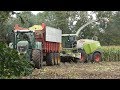 Mais hakselen in Wierden met Claas Jaguar 960 + Fendt 939, 936 en 716 Vario (2018)