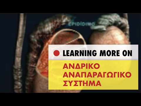 Βίντεο: Ποιο οργανίδιο είναι υπεύθυνο για την ωρίμανση του στέρνου;